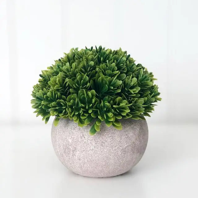 Stone Pot & Foliage