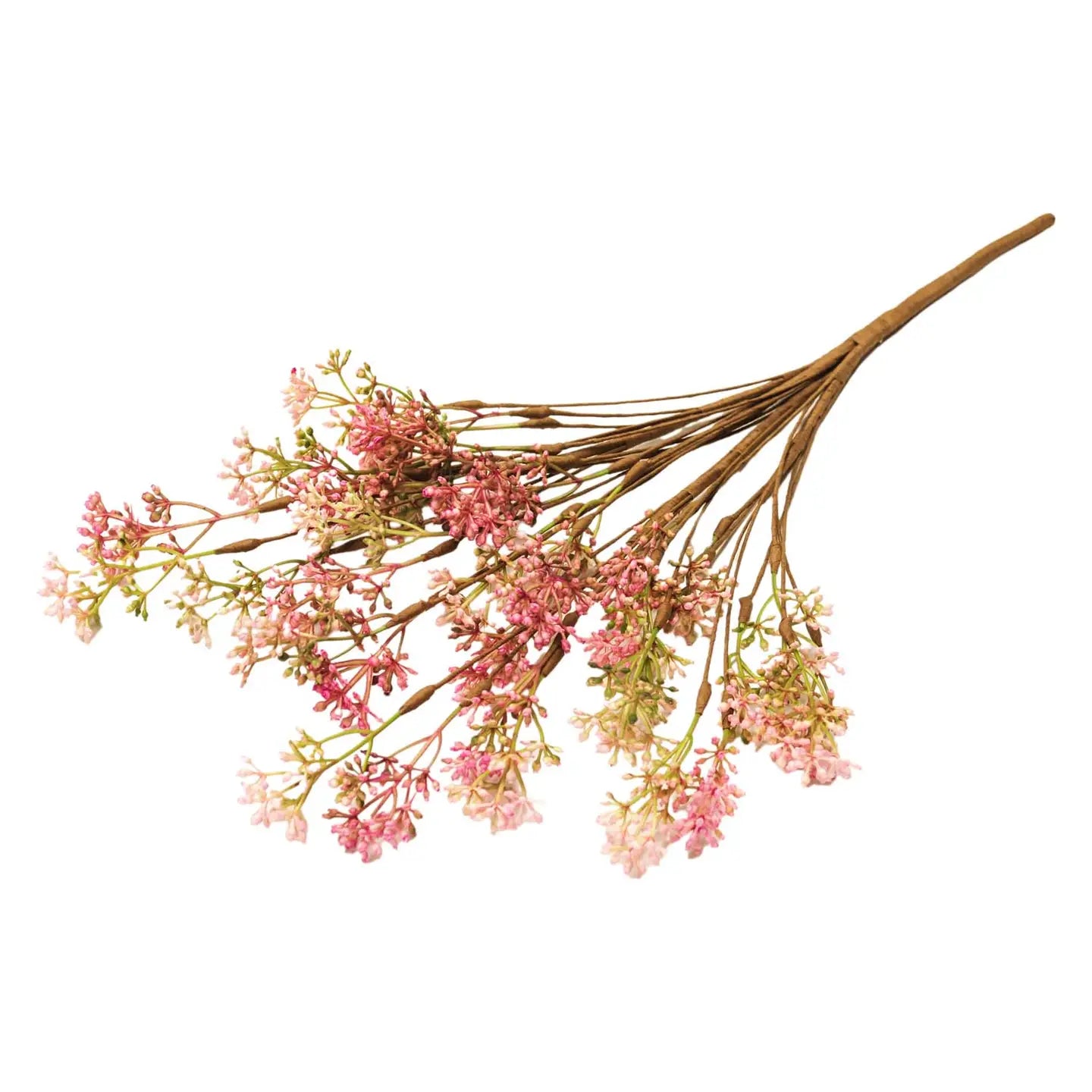Floral Pick: Pink Queen of the Prairie