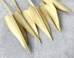 FINAL SALE - Palm Arrow Leaves