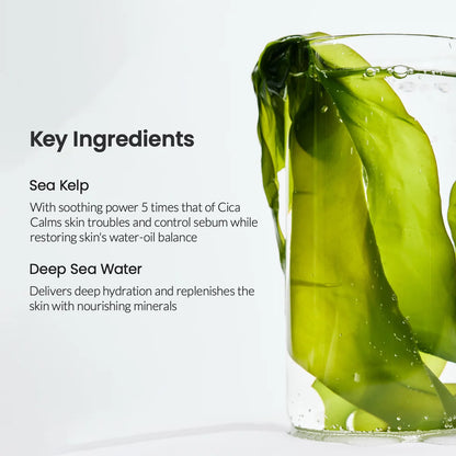 Face Sheet Mask - Biodance Refreshing Sea Kelp Real Deep