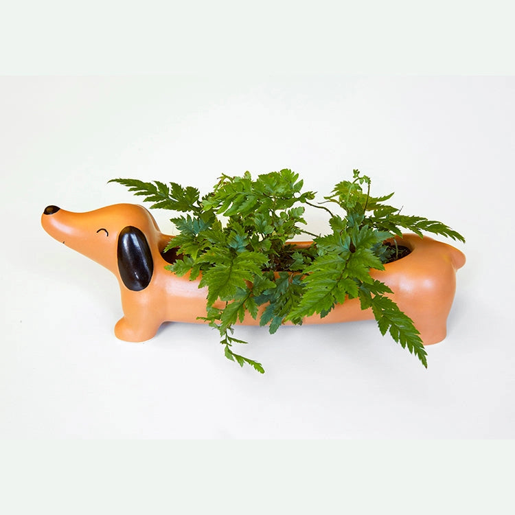 Doggy Daisy the Dachshund Planter