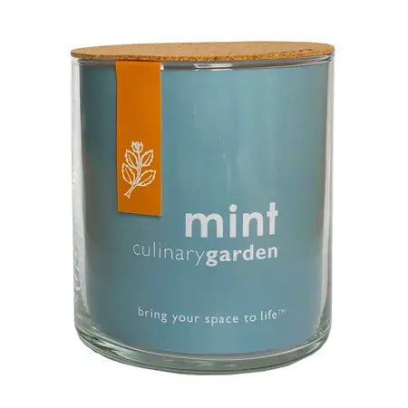 Mint Culinary Garden