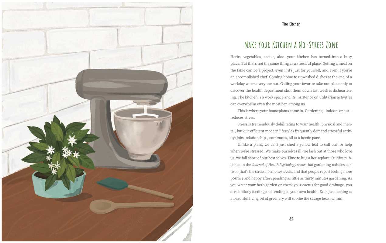 Never Put A Cactus in the Bathroom Book