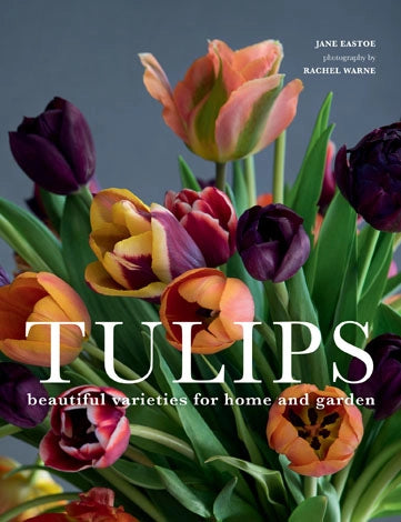 Beautiful Varieties For Home and Garden - Tulips