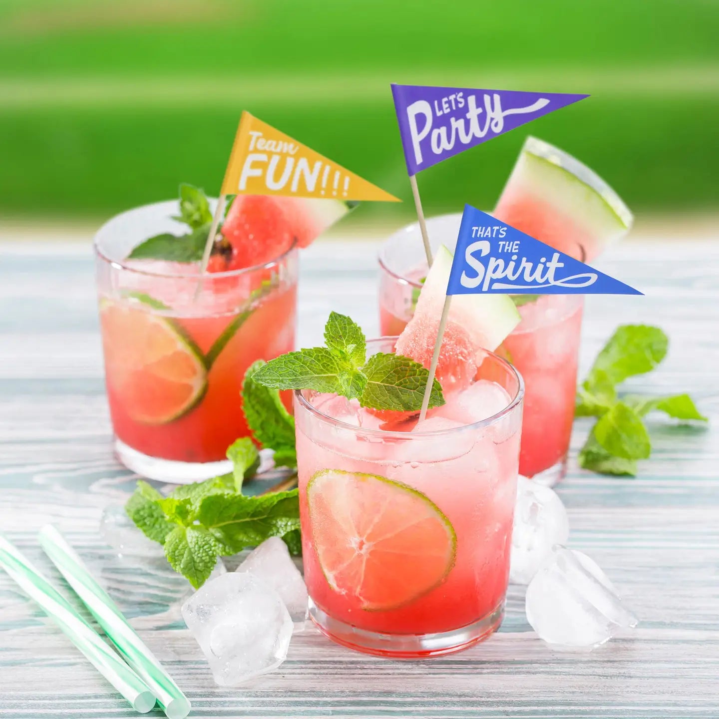 Most Spirited - Pennant Cocktail Picks