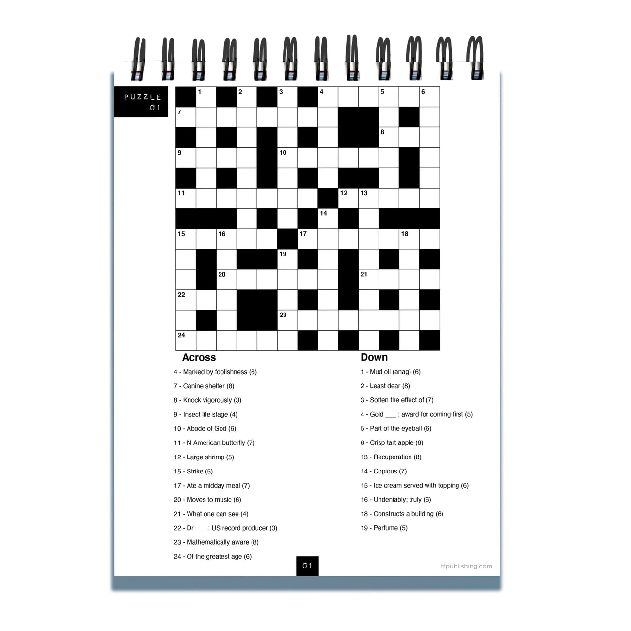 Stay at Home Crossword Puzzle Book