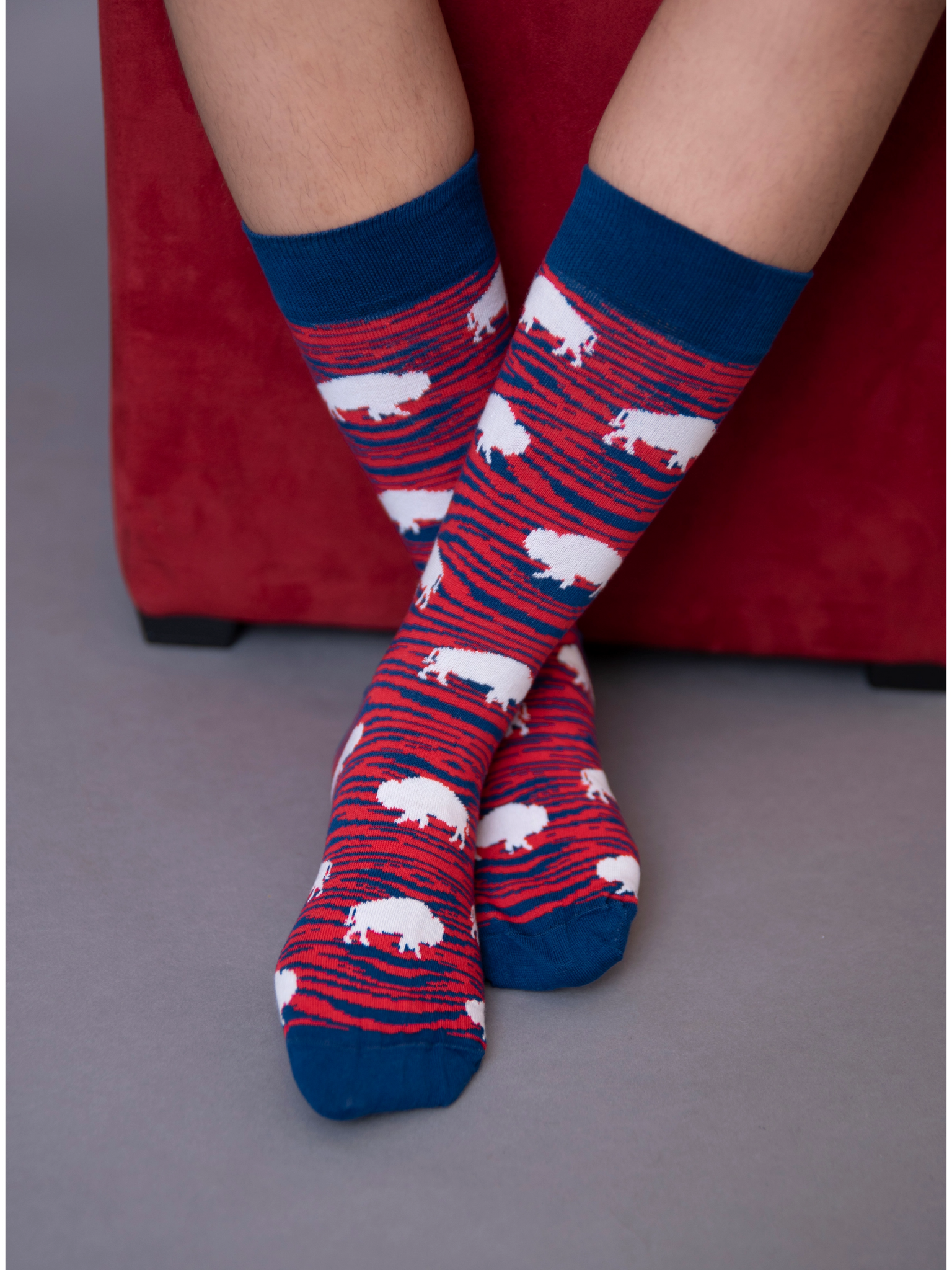 Buffalo Bills Red & Blue Zebra Socks {Mult. Sizes Avail.} – AE Gifts &  Clothing